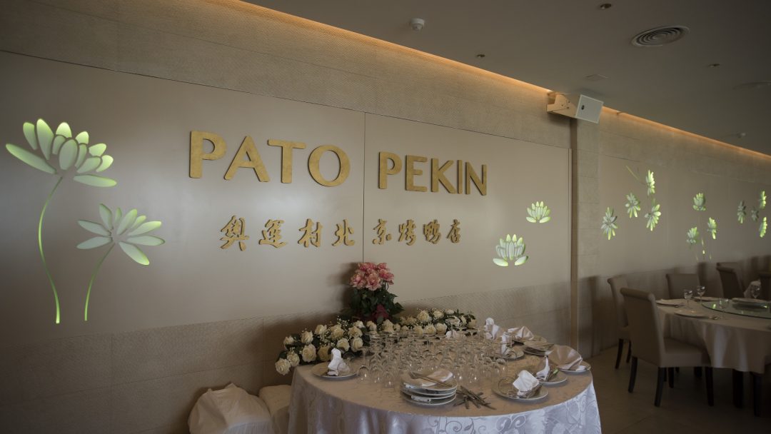 Pato Pekin