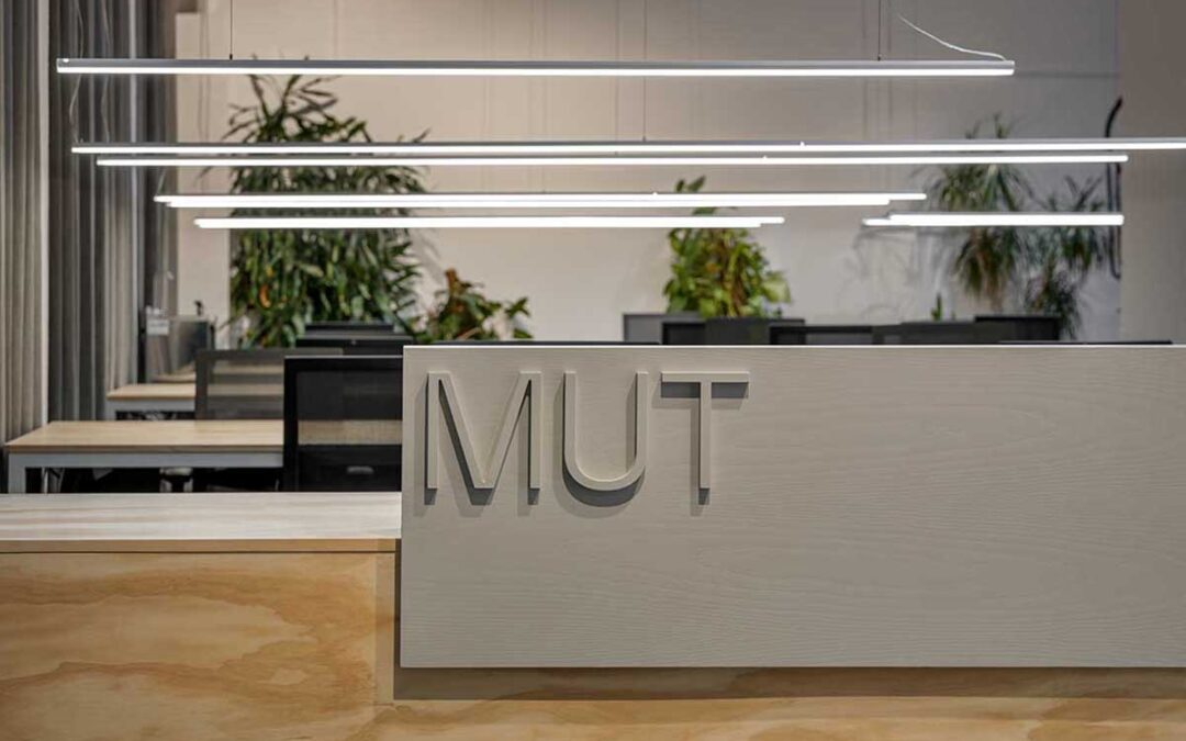 Oficinas MUT, iluminar la creatividad 